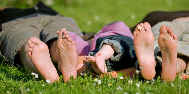 dtente-pieds-herbe-t-fotolia.jpg