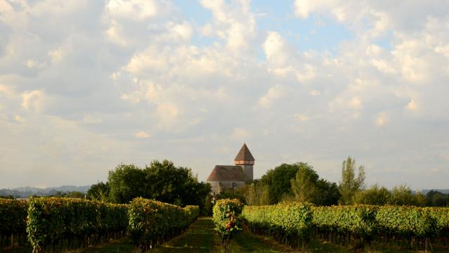 sabazan-glise-vigne-2-patrice-thbault.jpg