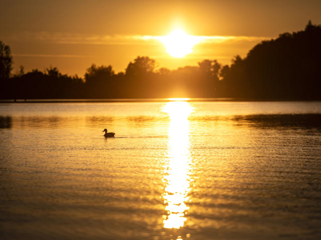 marciac-lac-coucher-soleil-p-pierre-meyer.jpg