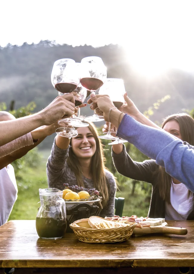 Group of friends at restaurant outdoors - People having dinner in a home garden