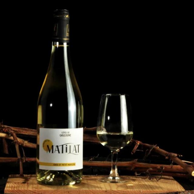 Vin-cotes-de-gascogne-a-Riscle-Domaine-de-Matilat.jpg