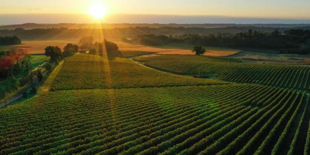 Vue Aerienne Viella Collection Tourisme Gers Arnaud Spani