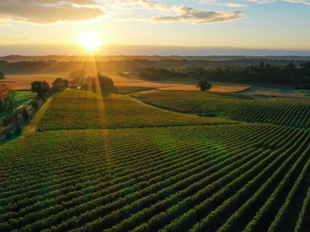 Vue Aerienne Viella Collection Tourisme Gers Arnaud Spani