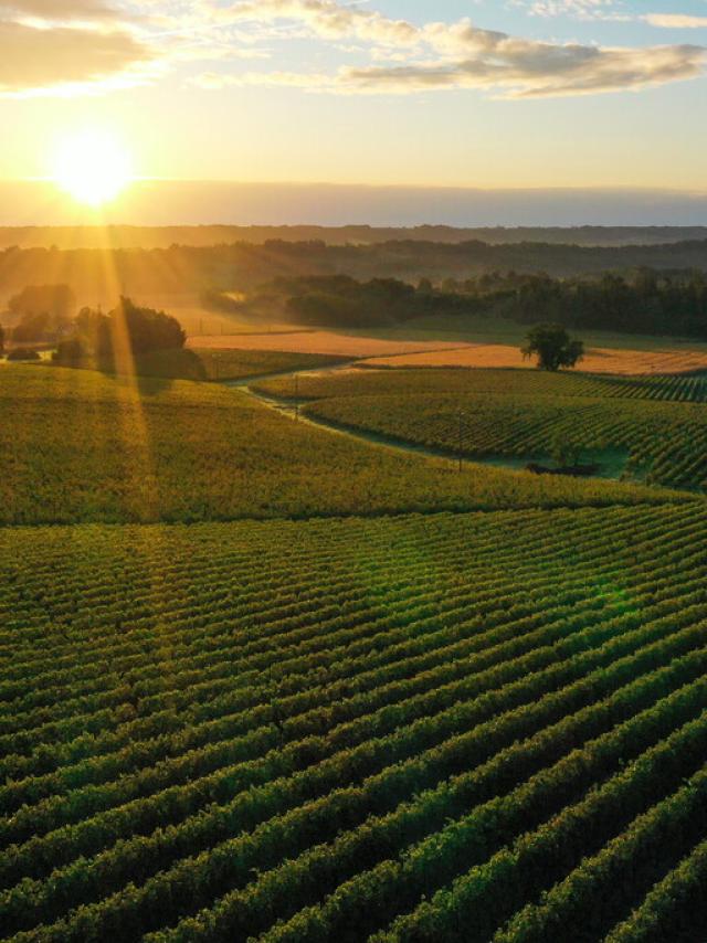 Vue Aerienne Viella Collection Tourisme Gers Arnaud Spani