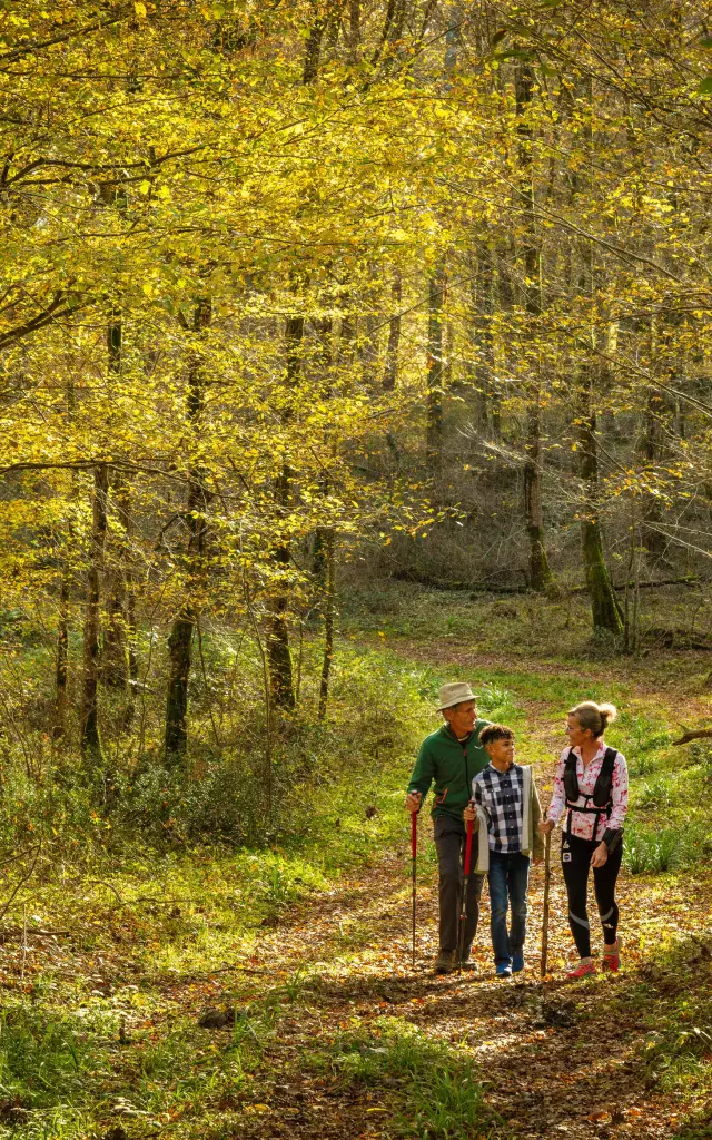 Promenade-en-famille-dans-la-foret-de-Saint-B-5.jpg