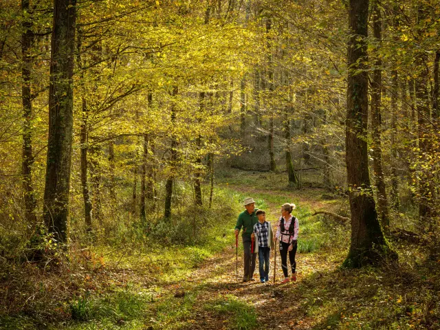 Promenade-en-famille-dans-la-foret-de-Saint-B-5.jpg