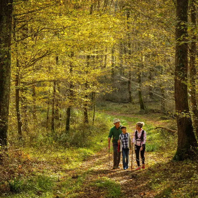 Promenade-en-famille-dans-la-foret-de-Saint-B-5.jpg