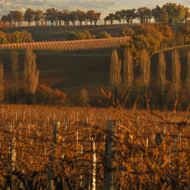 Paysage Automne Cotes De Gascogne