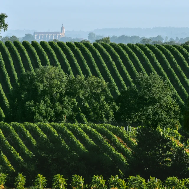 Paysage Ete Cotes De Gascogne