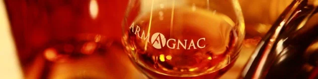 Verres Armagnac @michelcarossio Collectionbnia 1