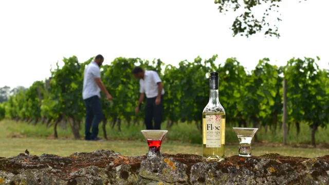 Vigne Floc Floc De Gascogne